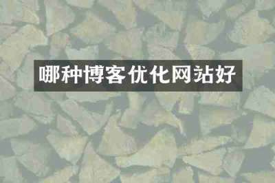 哪种博客优化网站好