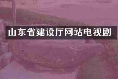 山东省建设厅网站电视剧