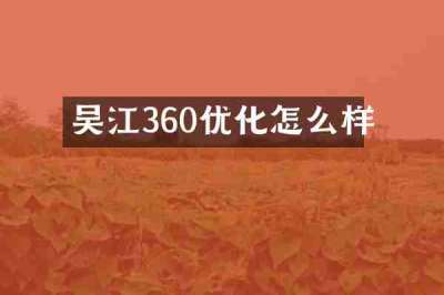 吴江360优化怎么样