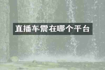 直播车震在哪个平台