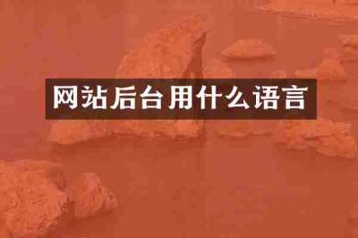 网站后台用什么语言