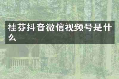 桂芬抖音微信视频号是什么