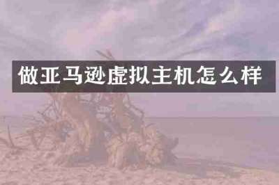 做亚马逊虚拟主机怎么样