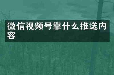 微信视频号靠什么推送内容