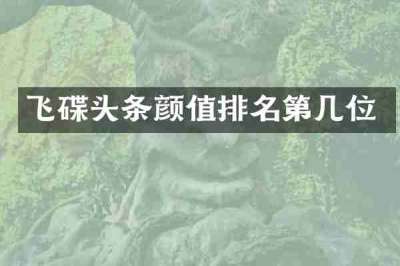 飞碟头条颜值排名第几位