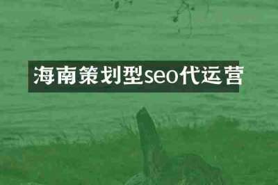 海南策划型seo代运营