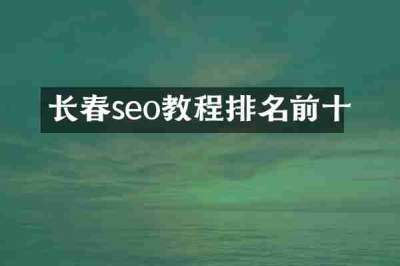 长春seo教程排名前十