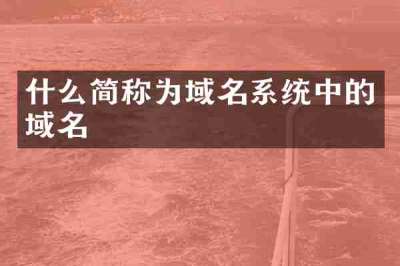 什么简称为域名系统中的域名