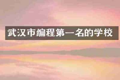 武汉市编程第一名的学校