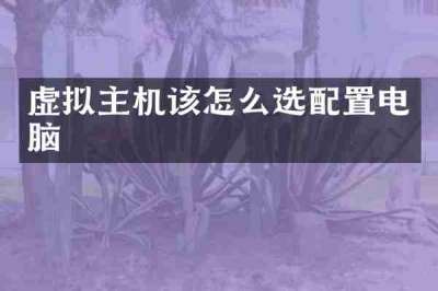 虚拟主机该怎么选配置电脑