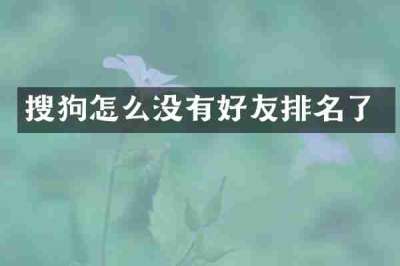 搜狗怎么没有好友排名了