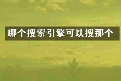 哪个搜索引擎可以搜那个