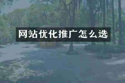 网站优化推广怎么选