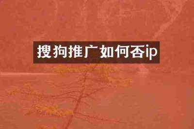 搜狗推广如何否ip