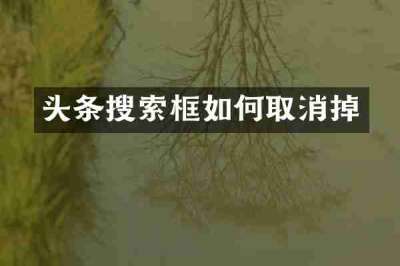 头条搜索框如何取消掉