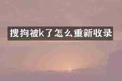 搜狗被k了怎么重新收录