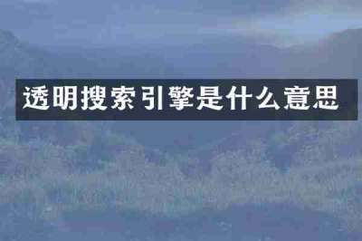 透明搜索引擎是什么意思