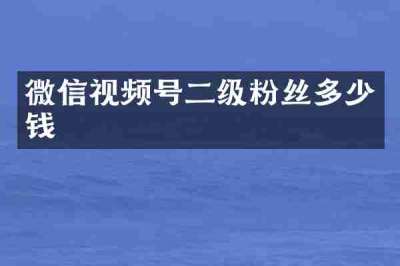 微信视频号二级粉丝多少钱