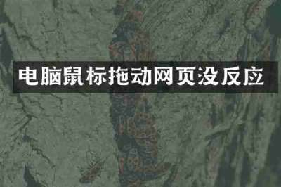 电脑鼠标拖动网页没反应