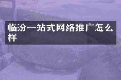 临汾一站式网络推广怎么样