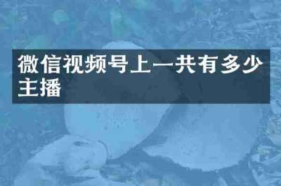 微信视频号上一共有多少主播
