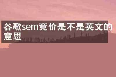谷歌sem竞价是不是英文的意思
