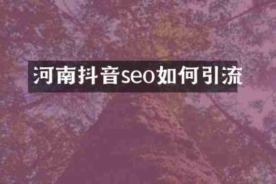 河南抖音seo如何引流
