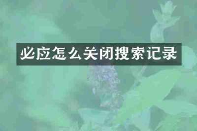 必应怎么关闭搜索记录