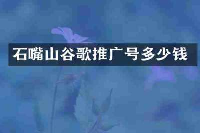 石嘴山谷歌推广号多少钱
