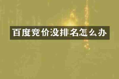 百度竞价没排名怎么办