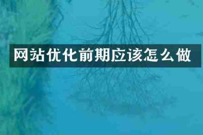 网站优化前期应该怎么做