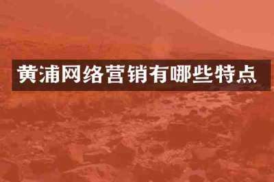黄浦网络营销有哪些特点