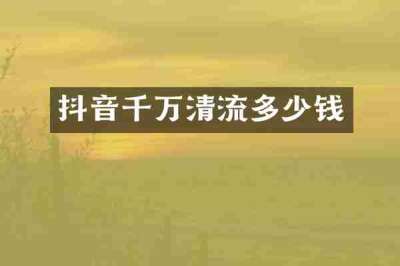 抖音千万清流多少钱