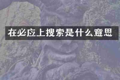 在必应上搜索是什么意思
