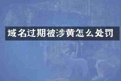 域名过期被涉黄怎么处罚
