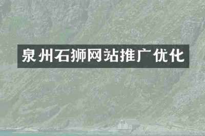 泉州石狮网站推广优化