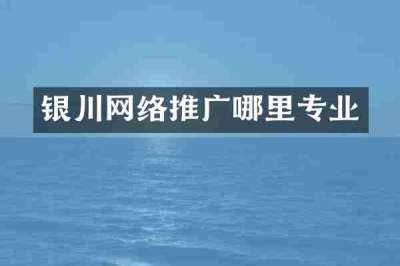 银川网络推广哪里专业