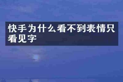 快手为什么看不到表情只看见字