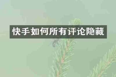 快手如何所有评论隐藏