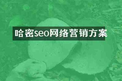 哈密seo网络营销方案