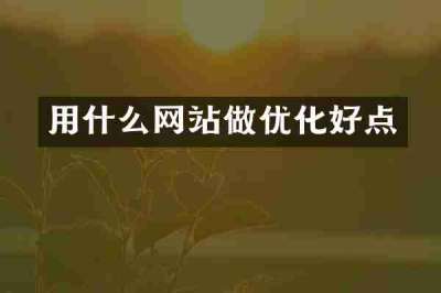 用什么网站做优化好点