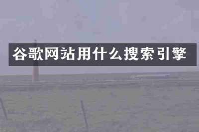 谷歌网站用什么搜索引擎