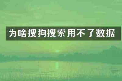 为啥搜狗搜索用不了数据