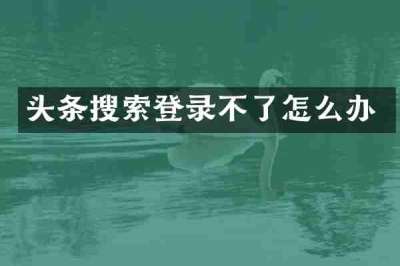 头条搜索登录不了怎么办