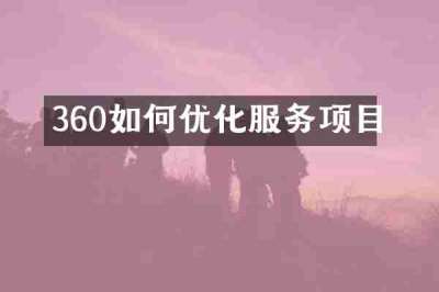 360如何优化服务项目