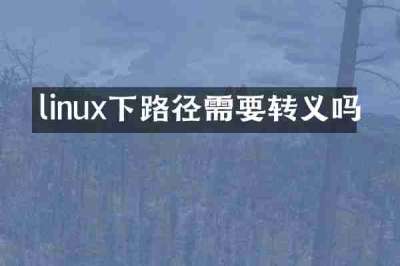 linux下路径需要转义吗