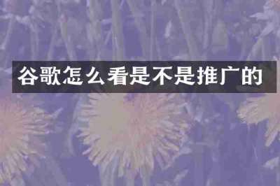 谷歌怎么看是不是推广的