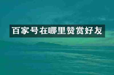 百家号在哪里赞赏好友