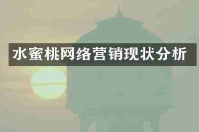 水蜜桃网络营销现状分析