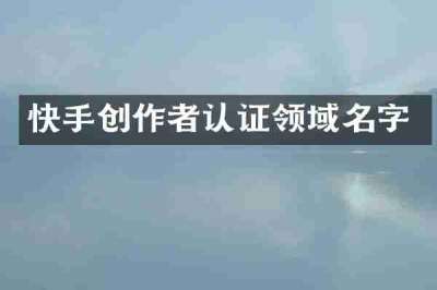 快手创作者认证领域名字